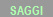 SAGGI