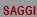 SAGGI